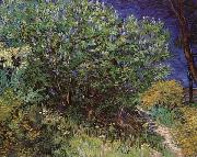 Vincent Van Gogh Bushes china oil painting reproduction